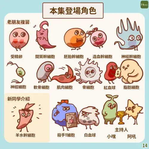 vsta美容院人体羊水干细胞的简单介绍