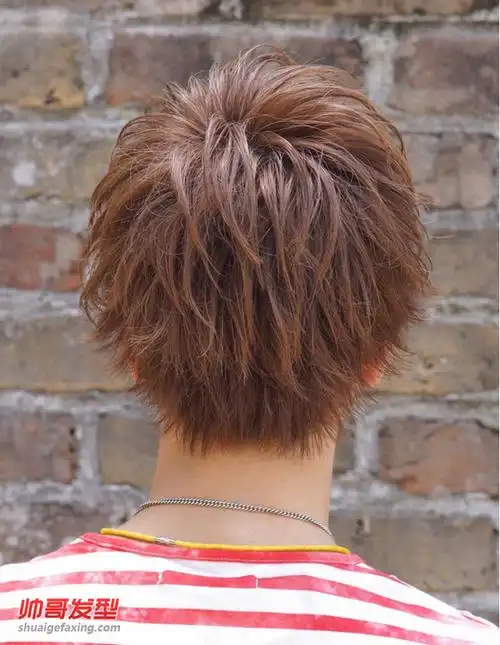 栗色很洋气2015秋冬季男生日式设计烫发,这一款发型层次感很强,头发