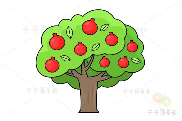 石榴树简笔画图片_大树简笔画