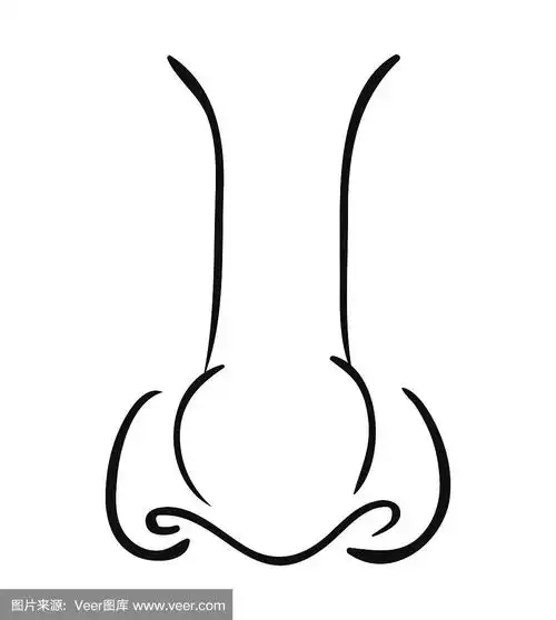 卡通鼻子矢量符号图标设计.美丽的插图孤立在白色的背景