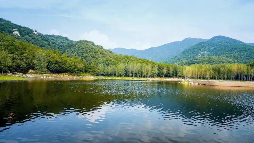 枣阳用绿色打造生态之城