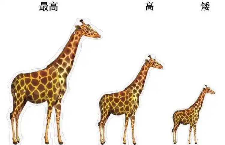 长颈鹿最喜欢吃树叶了,小朋友们找到最高和最矮的树了吗