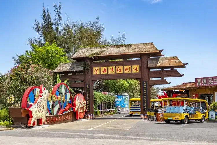 美丽的海上森林中国十大魅力湿地之一北海金海湾红树林