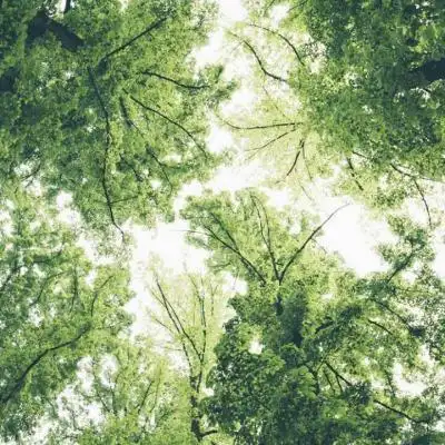 小清新唯美头像