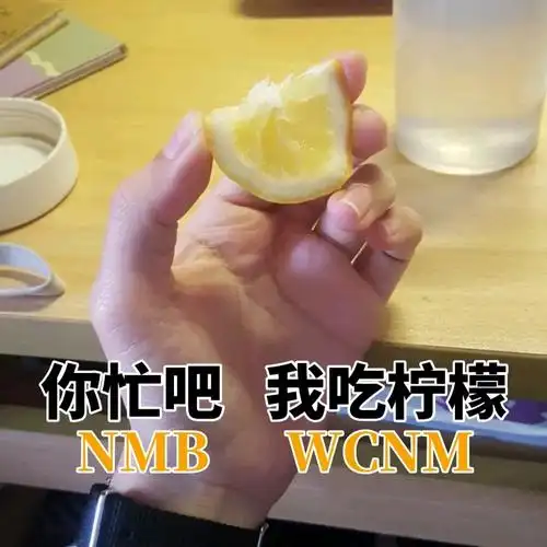 你忙吧 我吃柠檬(nmb wcnm)