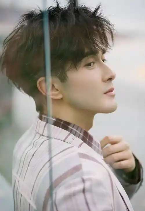 高伟光:娱乐圈中的"三高男神",却在30岁后才功成名就_成都_鹧鸪_未来