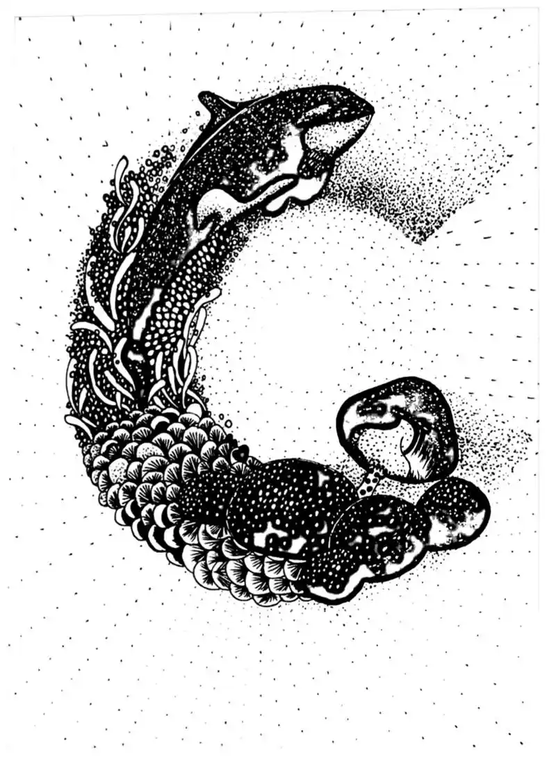 黑白字母画.字母bcd黑白线条画##手绘 #黑白线描画 - 抖音