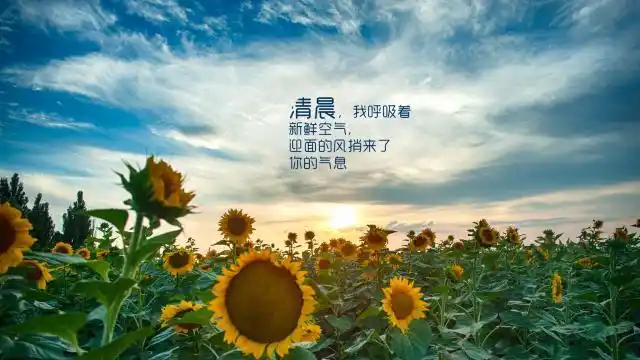 1/9张图片 内容简介 适合早上发微信朋友圈的心情语录 图片 :一天好