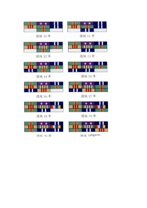 军官文职干部级别资历章排列标准