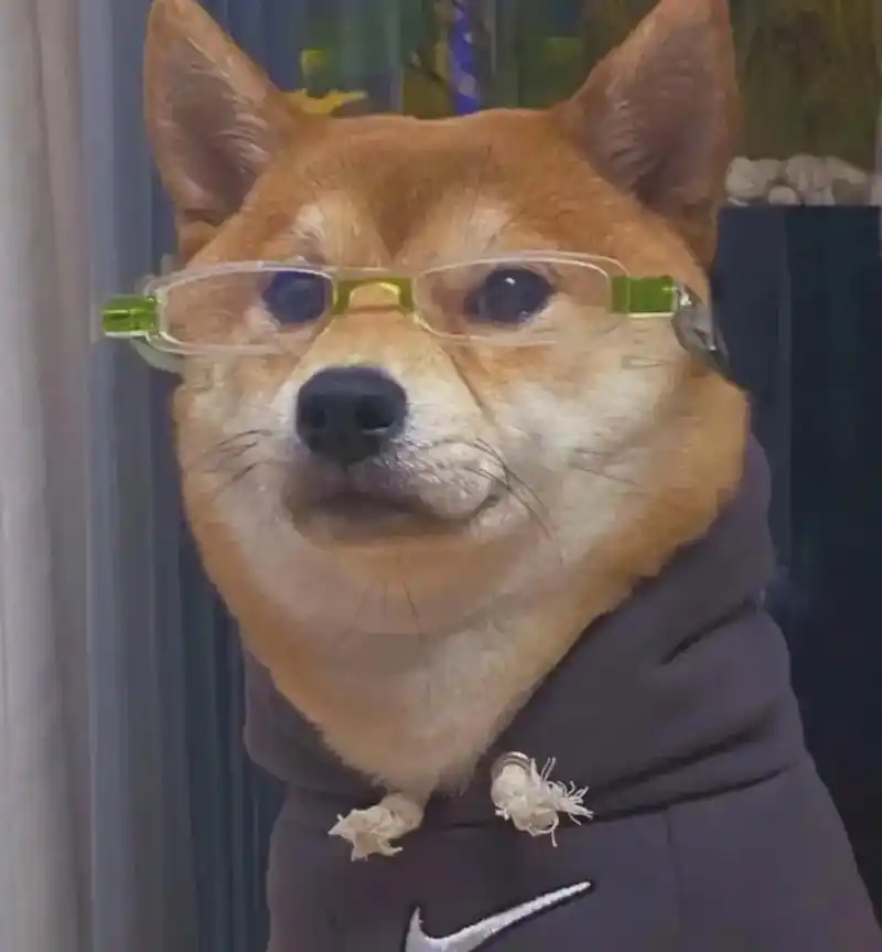 各位霸气大佬们该换头像了#复制粉丝 #我要流量 #最闪亮的坐 - 抖音