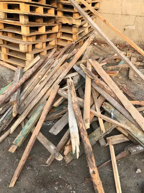 这两堆木头是今天的实践任务,要将这些木头堆放到院子里.