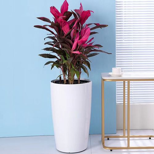 花盆欧式高花盆发财树懒人吸水塑料树脂落地客厅花盆