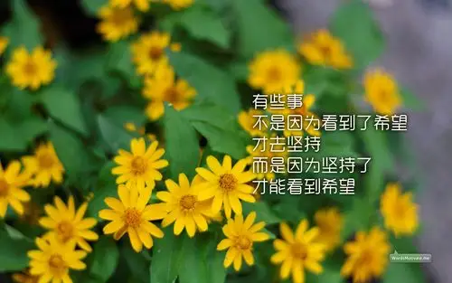 各种励志各种桌面各种奋斗上