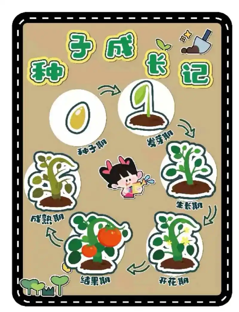 环创篇61种子成长记.#环创素材 #幼教资源共享 #幼师资源分 - 抖音