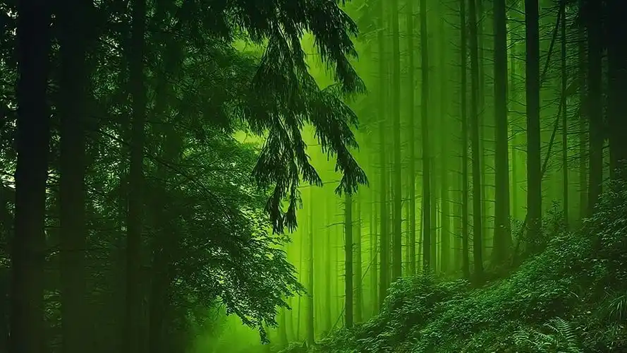 看绿色保护视力是一场骗局