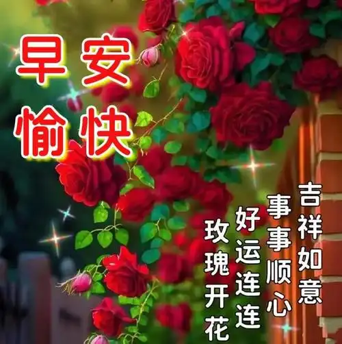 今日最新早上好表情图片大全珍惜缘份每天问早