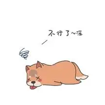 狗狗柴犬晕倒表情