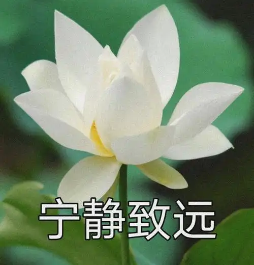 额看了很平静的头像自己取哈