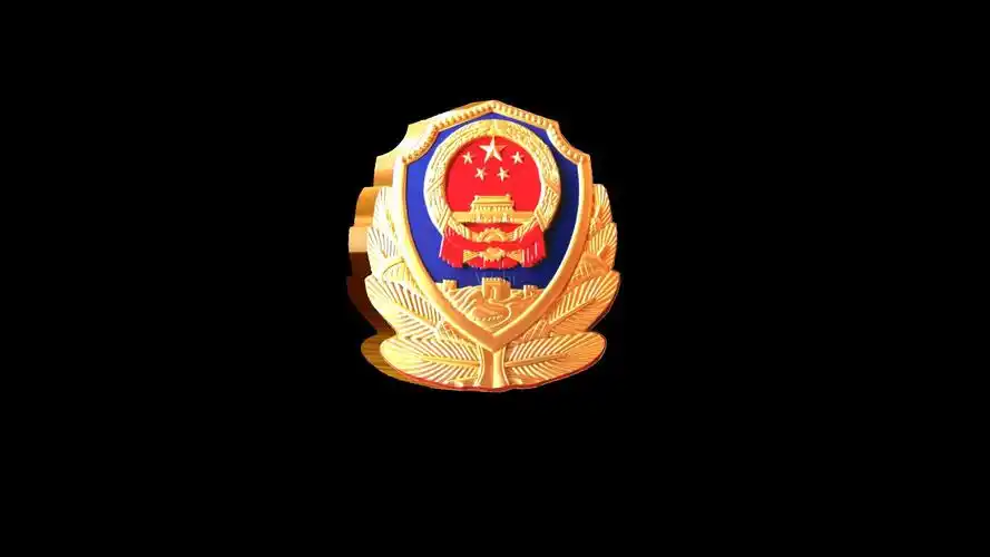 申请vjshi网帮我买单