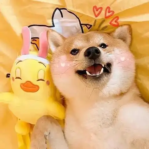 狗表情包情侣头像 情侣头像图片大全 -【爱个性】