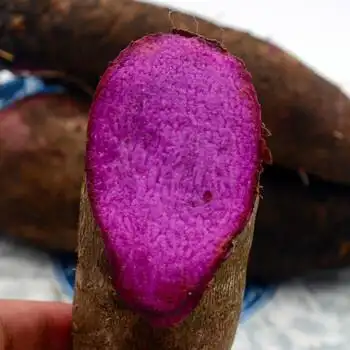 恬女神 新鲜紫山药 紫玉淮山长山药 农家紫色山药 新鲜脚板薯 2.5kg