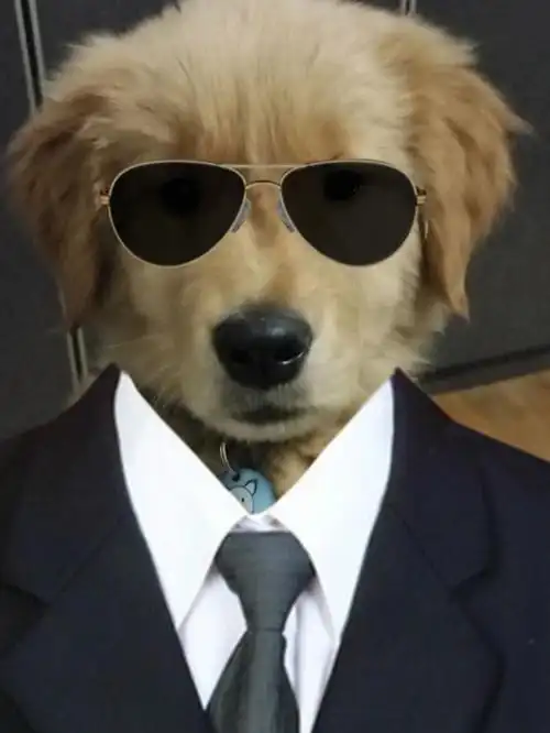 哈哈哈哈哈哈一脸正经