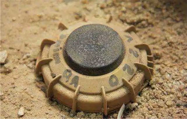 上百万颗地雷如何快速清除?这种老鼠扛起重任,堪称排雷小能手