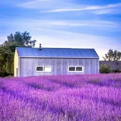 走过的路便是你的经验_风景静物头像_我要个性网