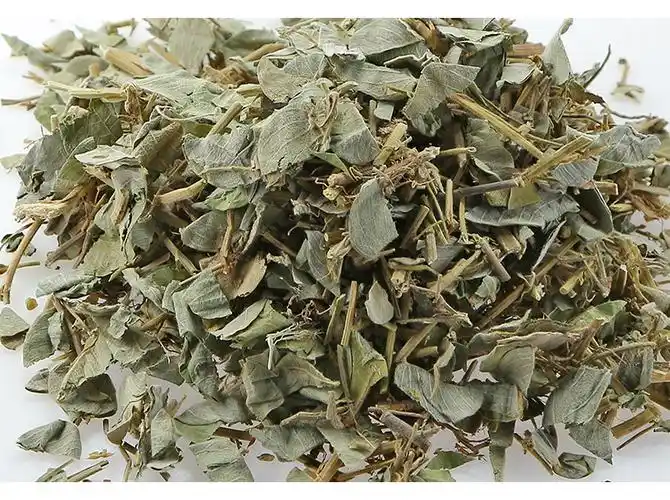 野生金钱草中药材500g金钱草干中草药泡茶大叶泡水大金钱草_金钱草洽