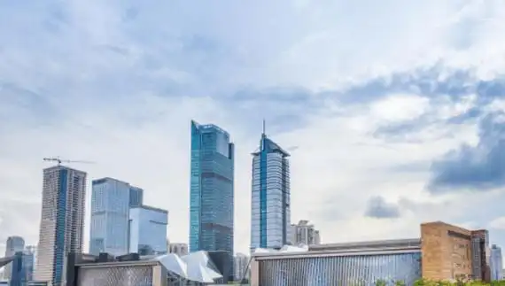 黑龙江省中储粮双城直属库双城临江建仓拆除项目招标公告