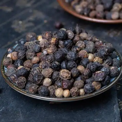 樟树子 香樟籽 樟木子 香樟子 香樟子樟树籽干货500克促销中药材 250