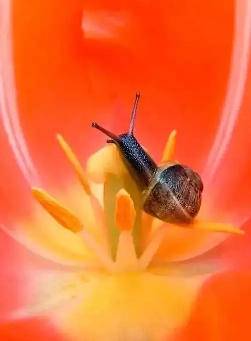 【小旭姐姐儿童美术坊】——带着小蜗牛去旅行