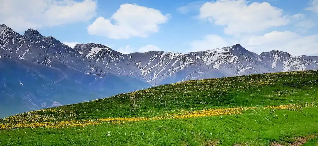 新疆伊犁大草原雪山