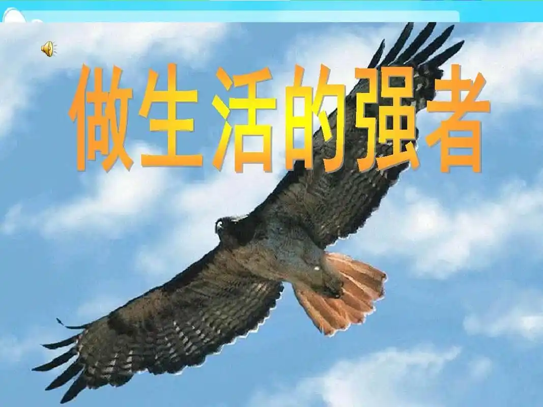 小学品德与社会粤教版四年级下册《3,做生活的强者》优质课公开课比赛