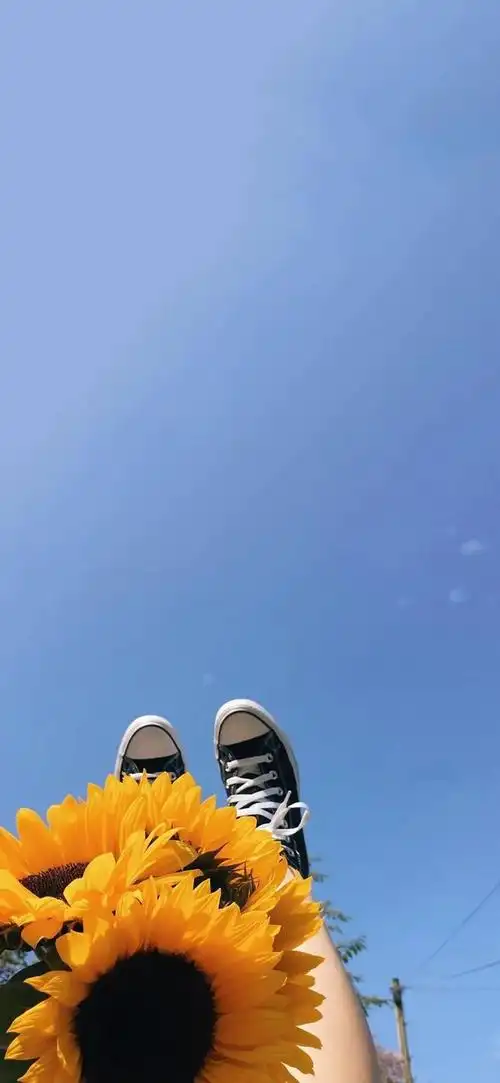 抖音最火壁纸,快手最火壁纸,iphone手机壁纸,苹果壁纸,安卓壁纸