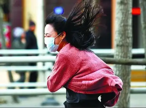 春天都快被青岛大风刮跑了!| 02.23青岛天气