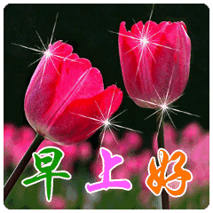 清晨早安短信大全 清晨早安动态表情_祝福