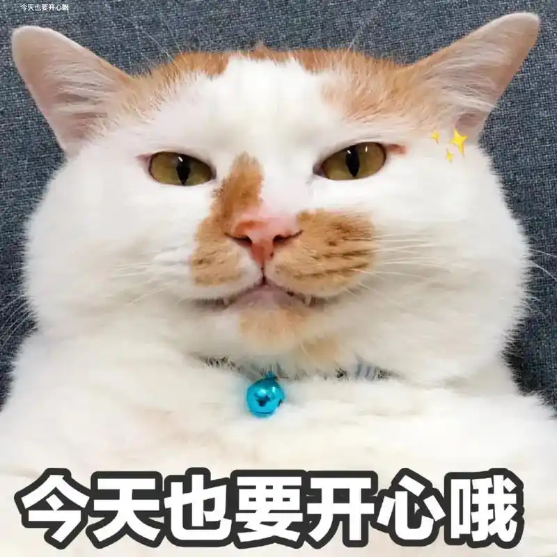 你的表情包会说话吗?#表情包会说话 #会说话的表情包 #萌宠 - 抖音