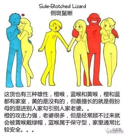 qq947470052的主页