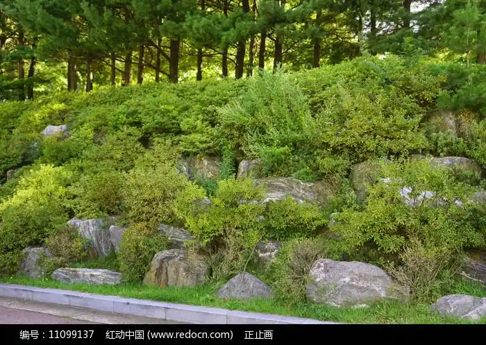 韩国城市自然风格的石砌护坡