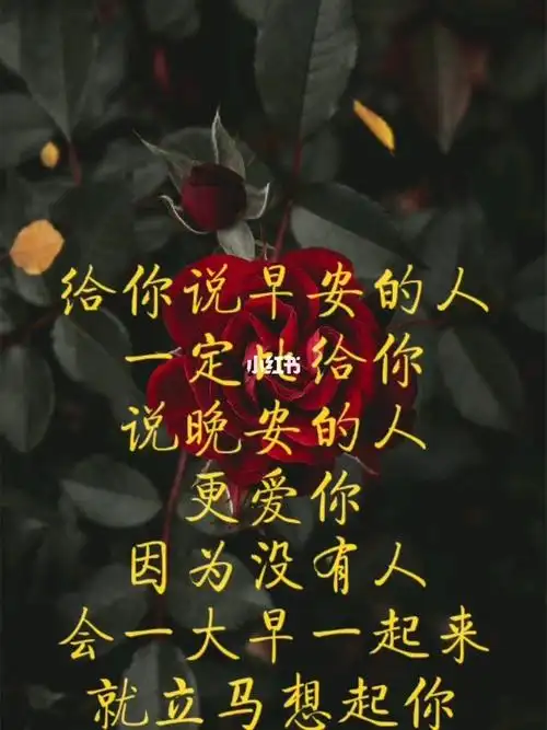 给你说早安的人,一定比给你说晚安的人更爱你,因为没有人会一大早起来