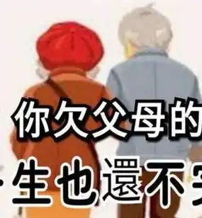 终究我依然还是个不孝女,只是对父母的愧疚,尴尬,给不起,实足的失败者