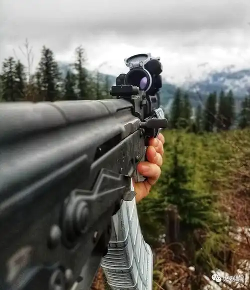 国外枪迷相册ak当道气势逼人