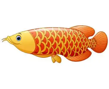 龙的眼睛卡通图片