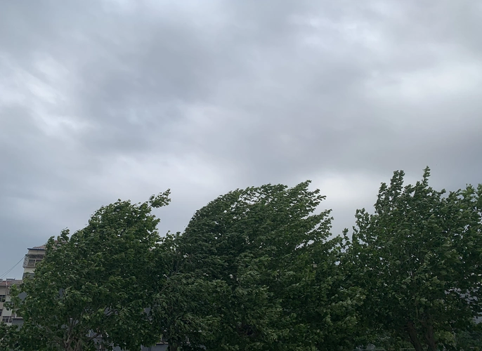 今天早上一出门   大风呼呼呼!