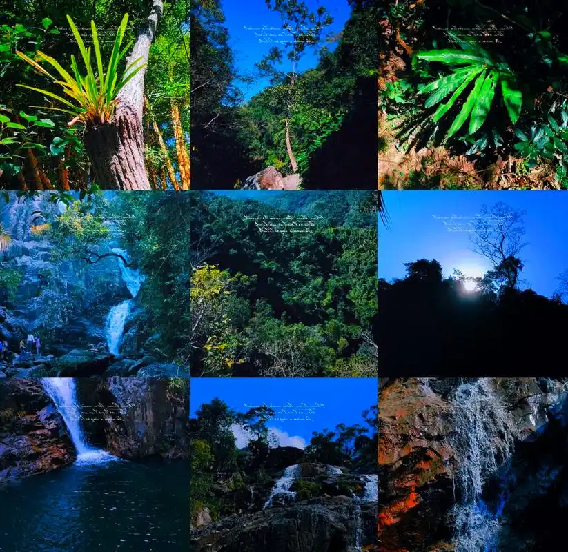 作为海南三大山脉之一,霸王岭以其绝美的风景吸引着无数游客.