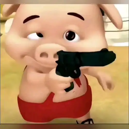 傻逼小呆呆捡枪