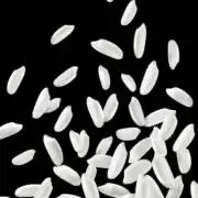 米粒跳动的白噪音