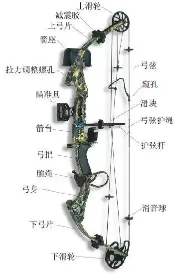 射箭弓箭的基本知识