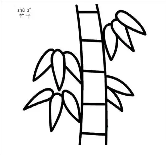 竹子简笔画大全